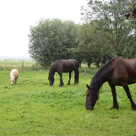 Apartment Het Friesche Paard Purmer Exteriér fotografie
