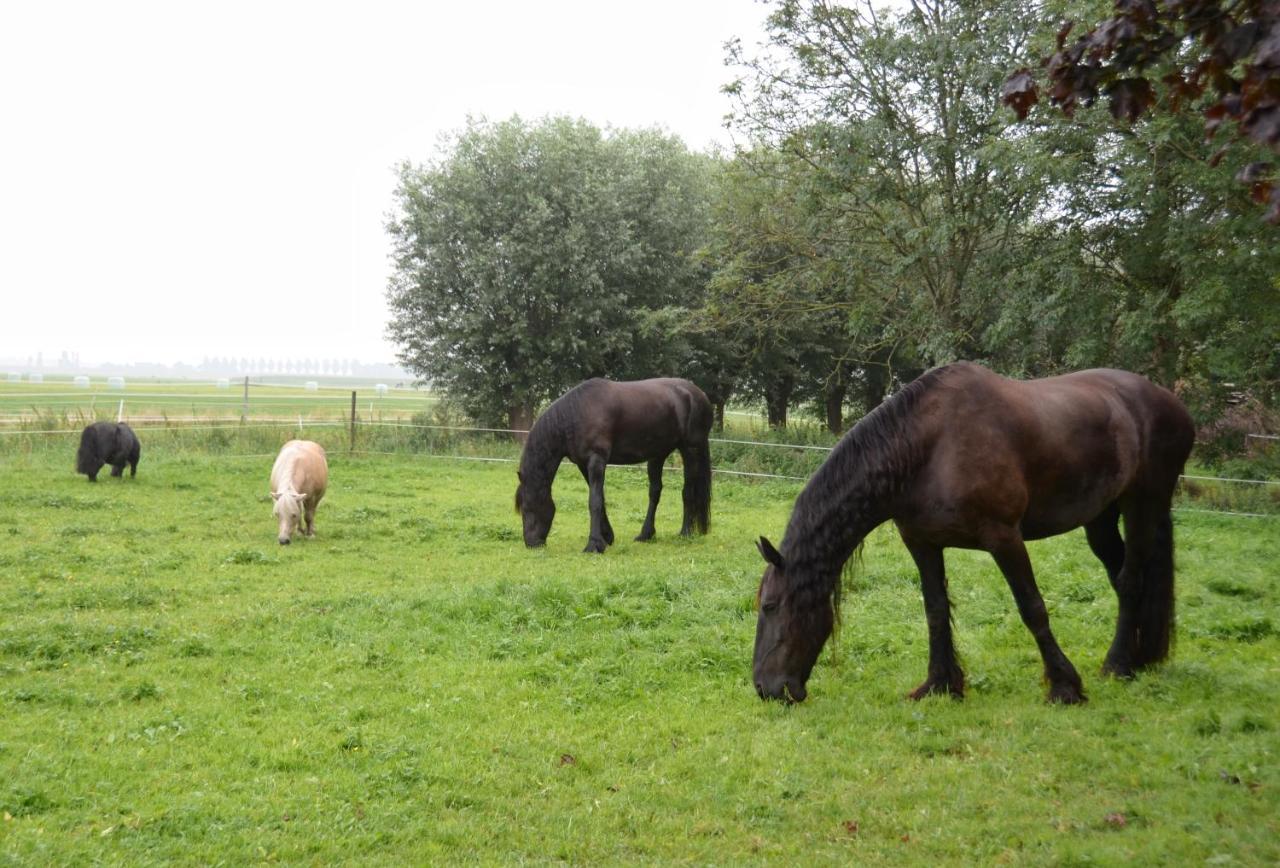 Apartment Het Friesche Paard Purmer Exteriér fotografie
