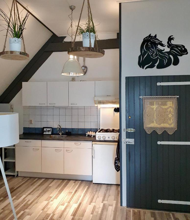 Apartment Het Friesche Paard Purmer Exteriér fotografie